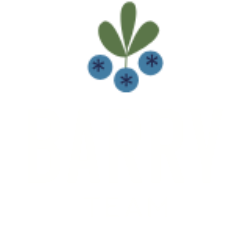 Barry team